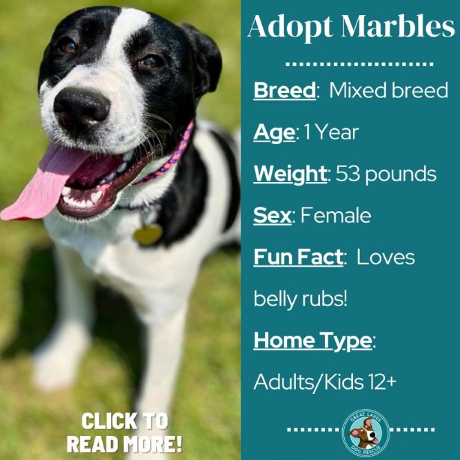 Marbles (Humidity)