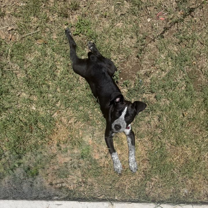 Izzy 3