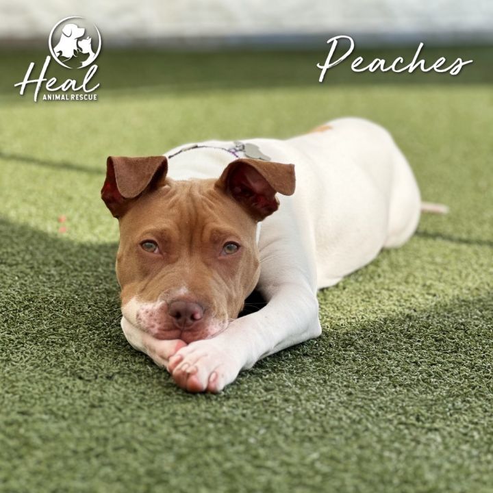 Peaches 4