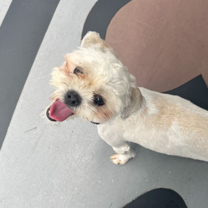 Benny (FKA Benzol) 4