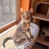 Sandy photo 2