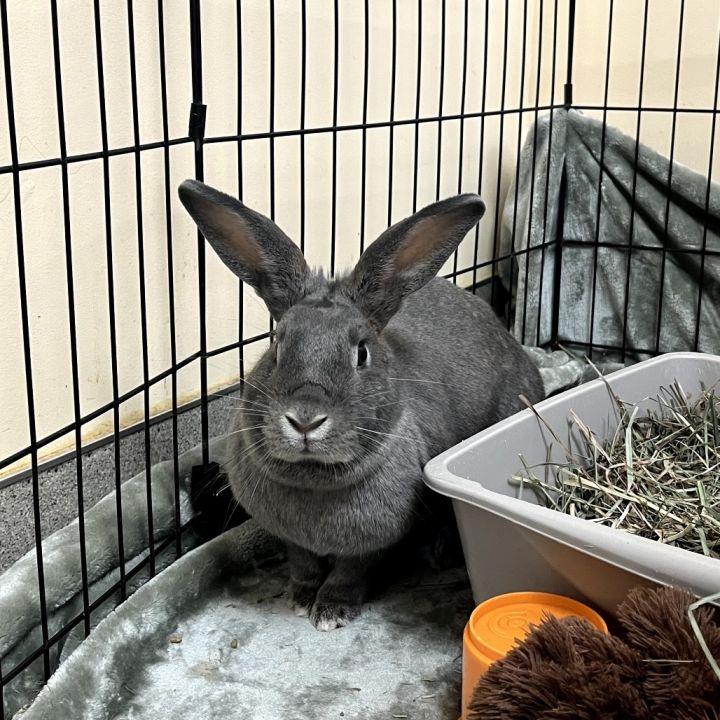 Maru 3