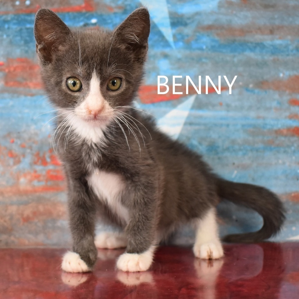 Benny