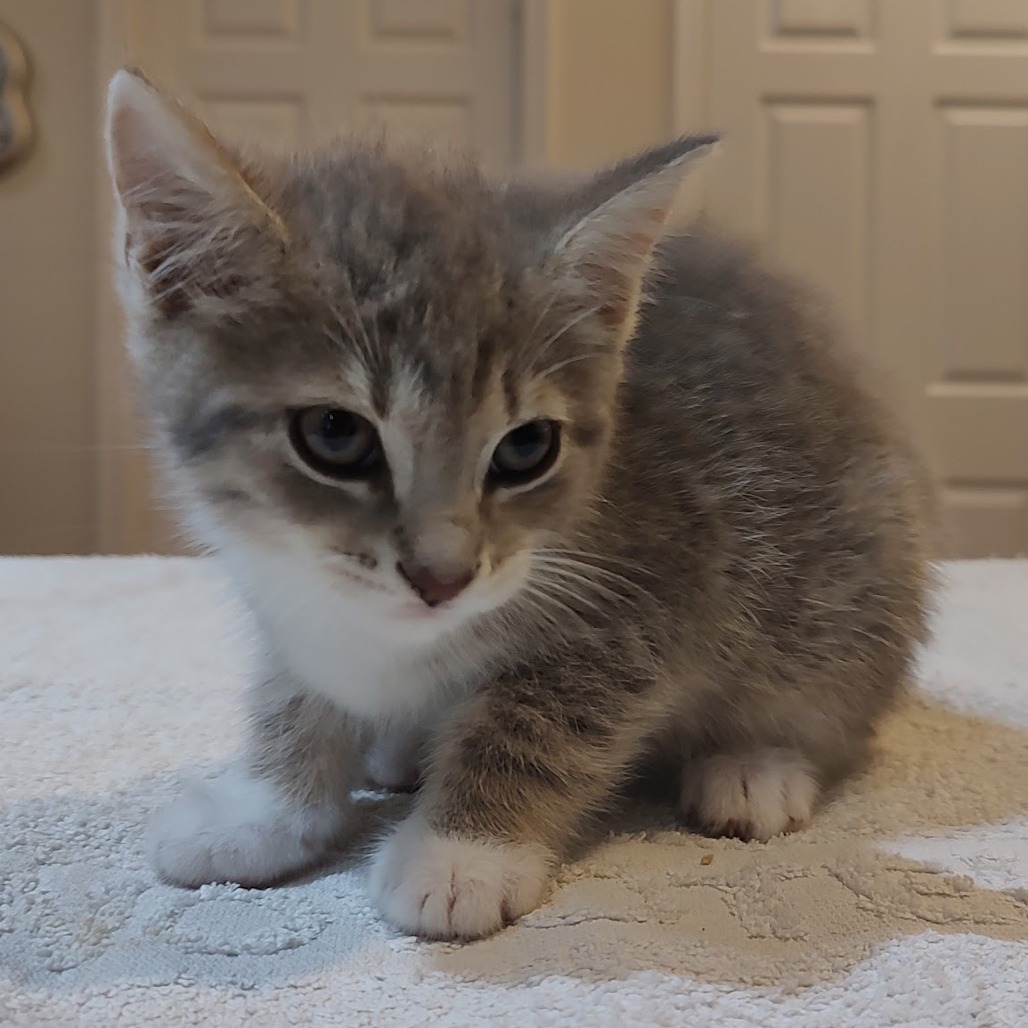 Ragnar