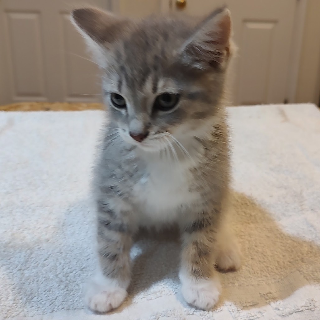Ragnar
