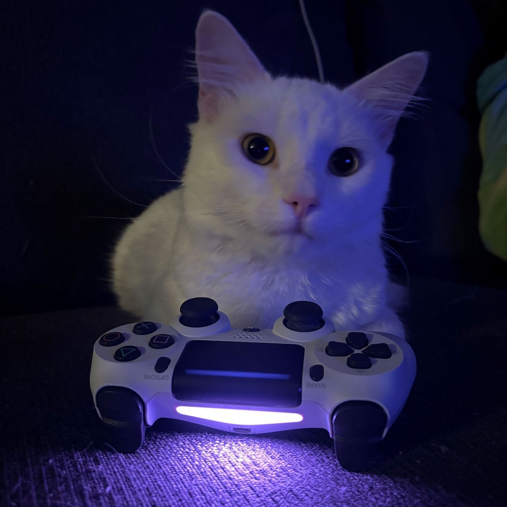 Snowball