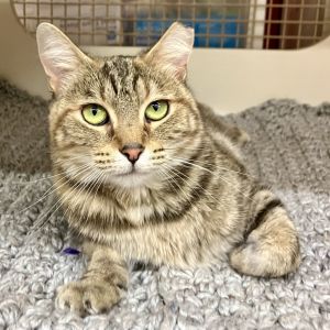 Kai Tarkitty, Young Female unknown