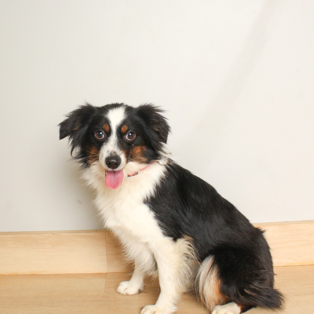 Mia D64367