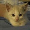 Pogo photo 3