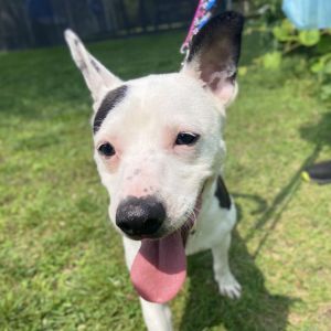 Meet Josie a tenderhearted 35-year-old looking for her fresh start This Tennessee native wears a 