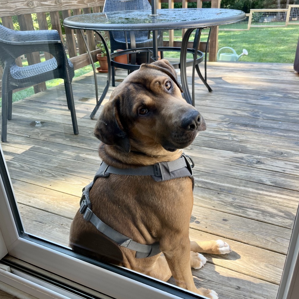 Mr. Bruno