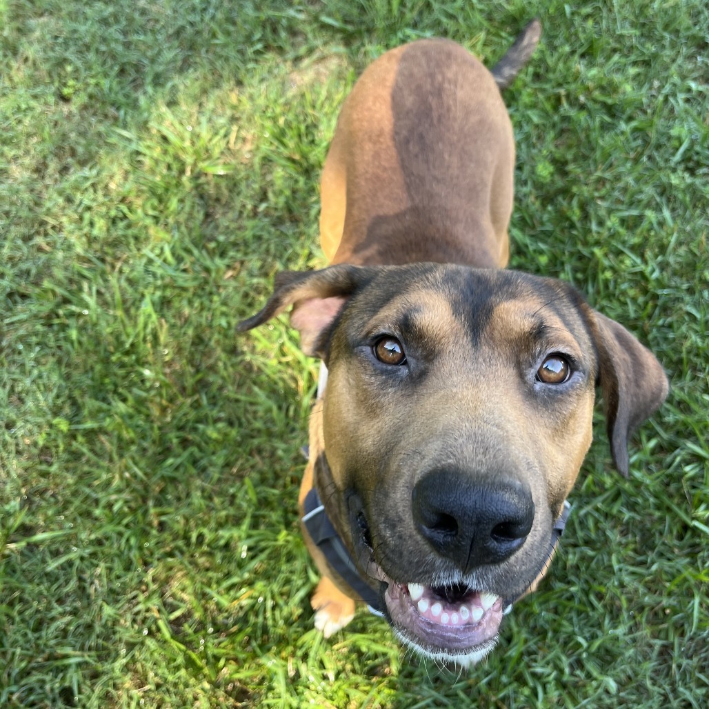 Mr. Bruno