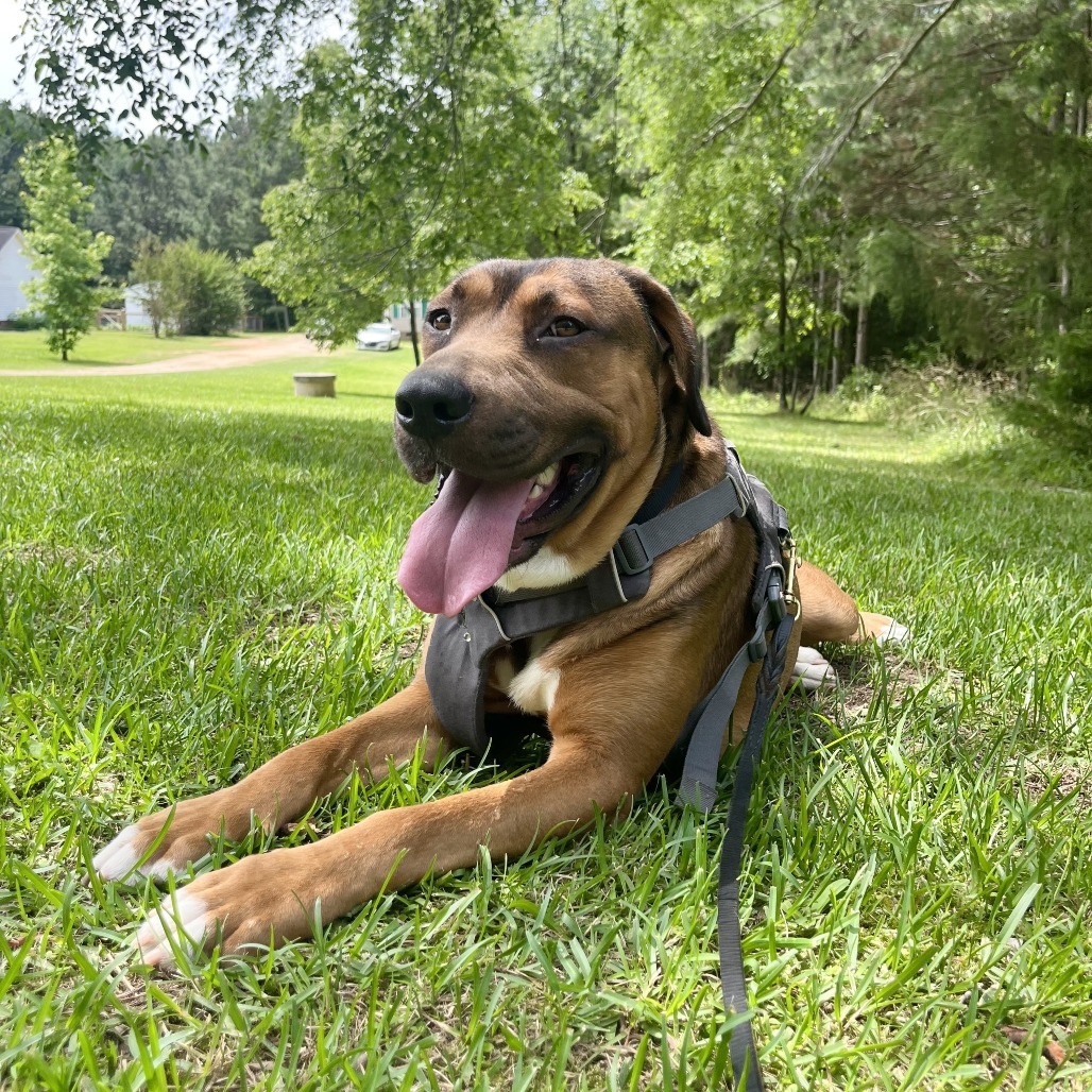 Mr. Bruno