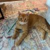 Walter photo 3