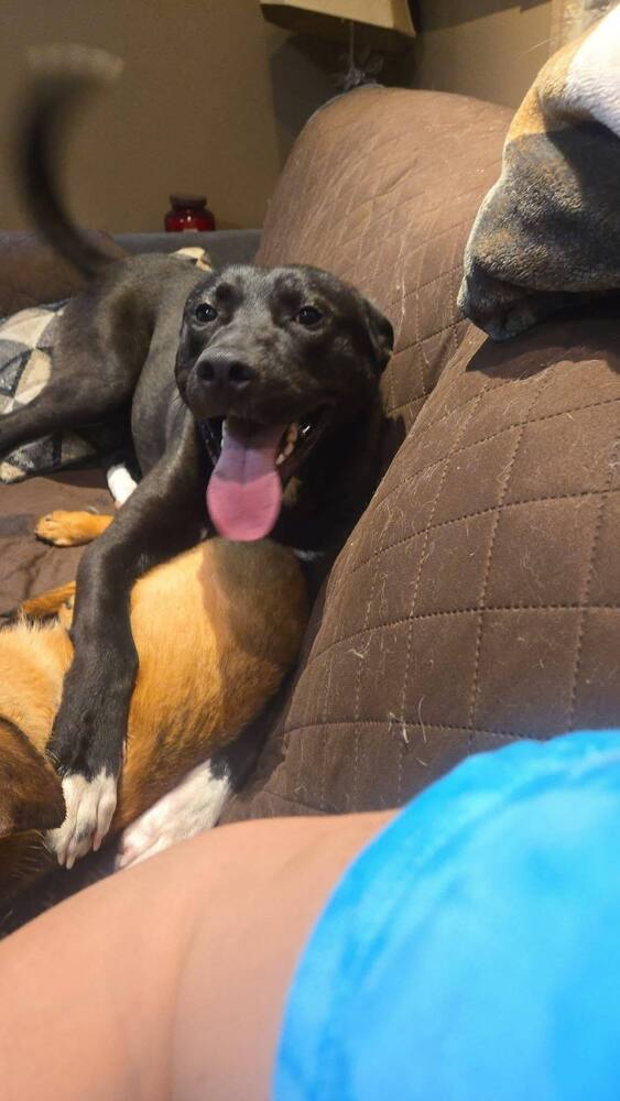 Max