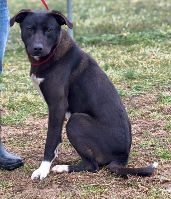 Max