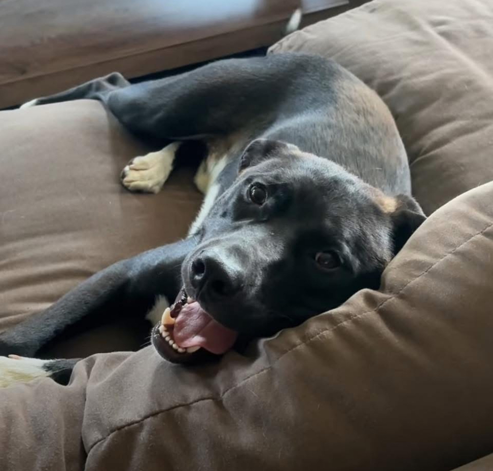 Max