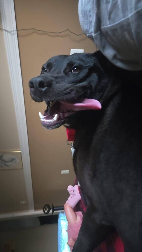 Max