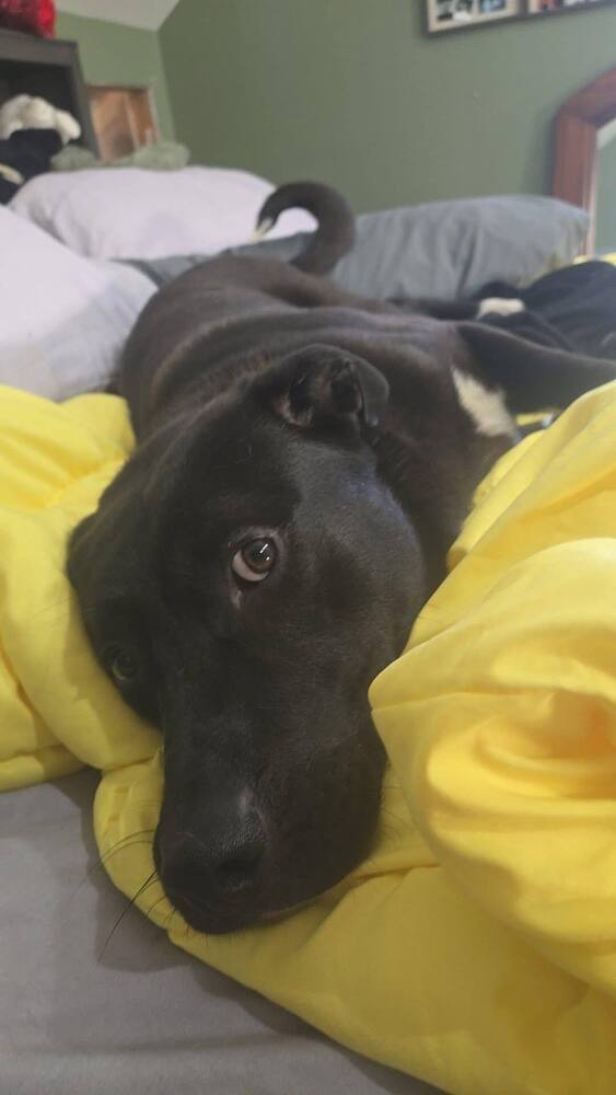 Max
