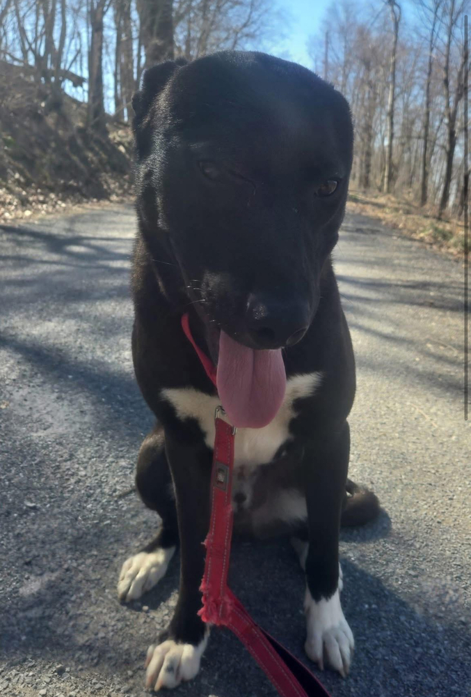 Max
