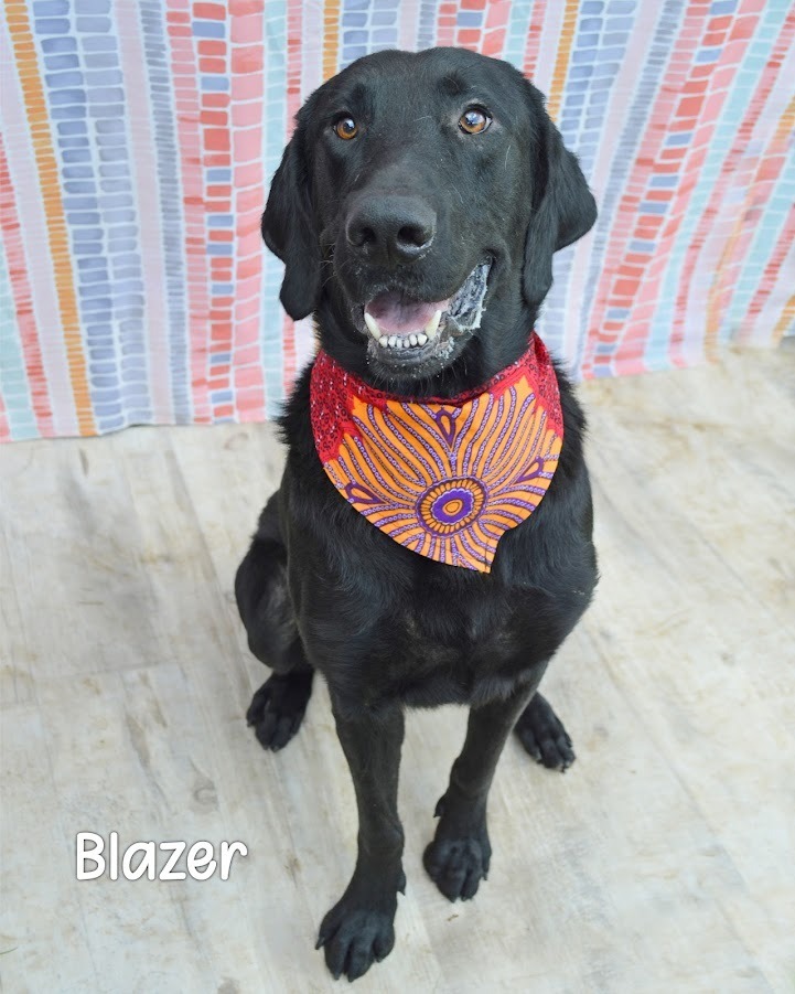 Blazer