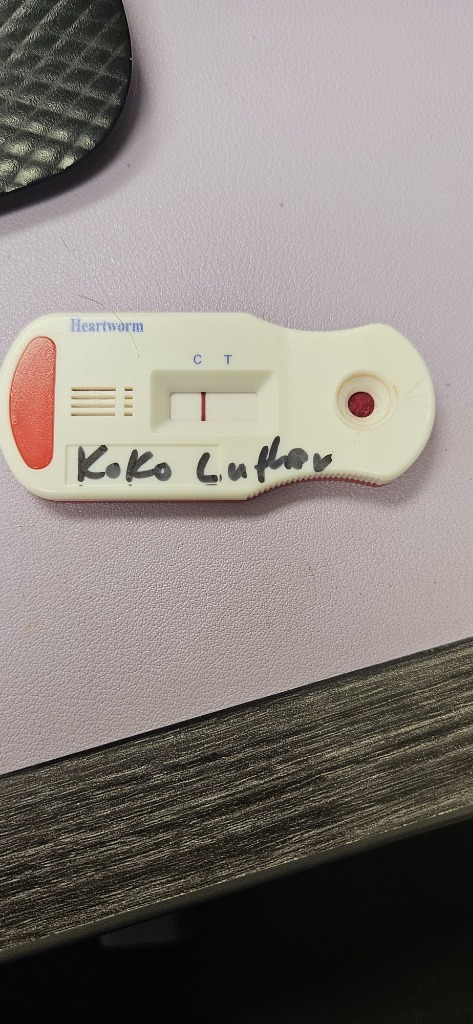 KoKo (Luther)