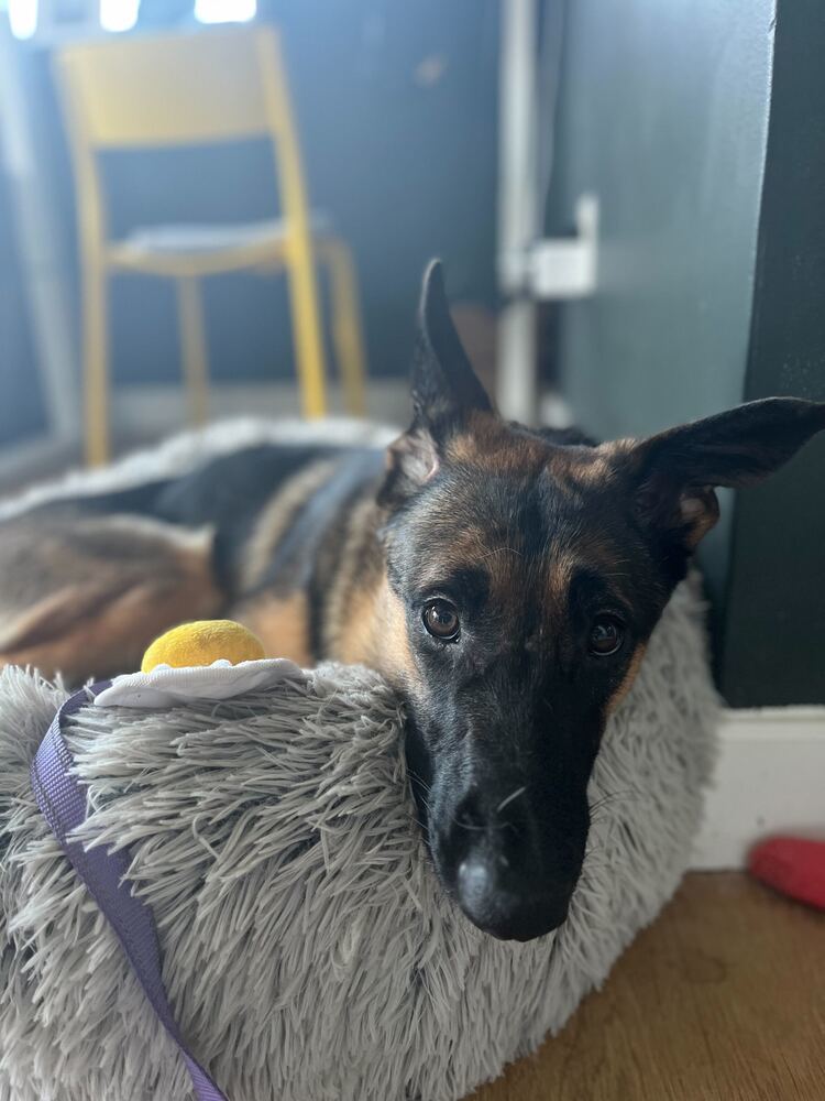 Marco