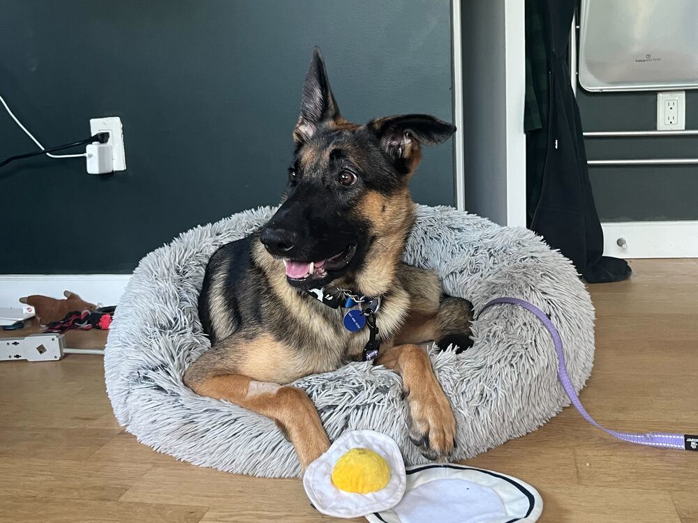 Marco