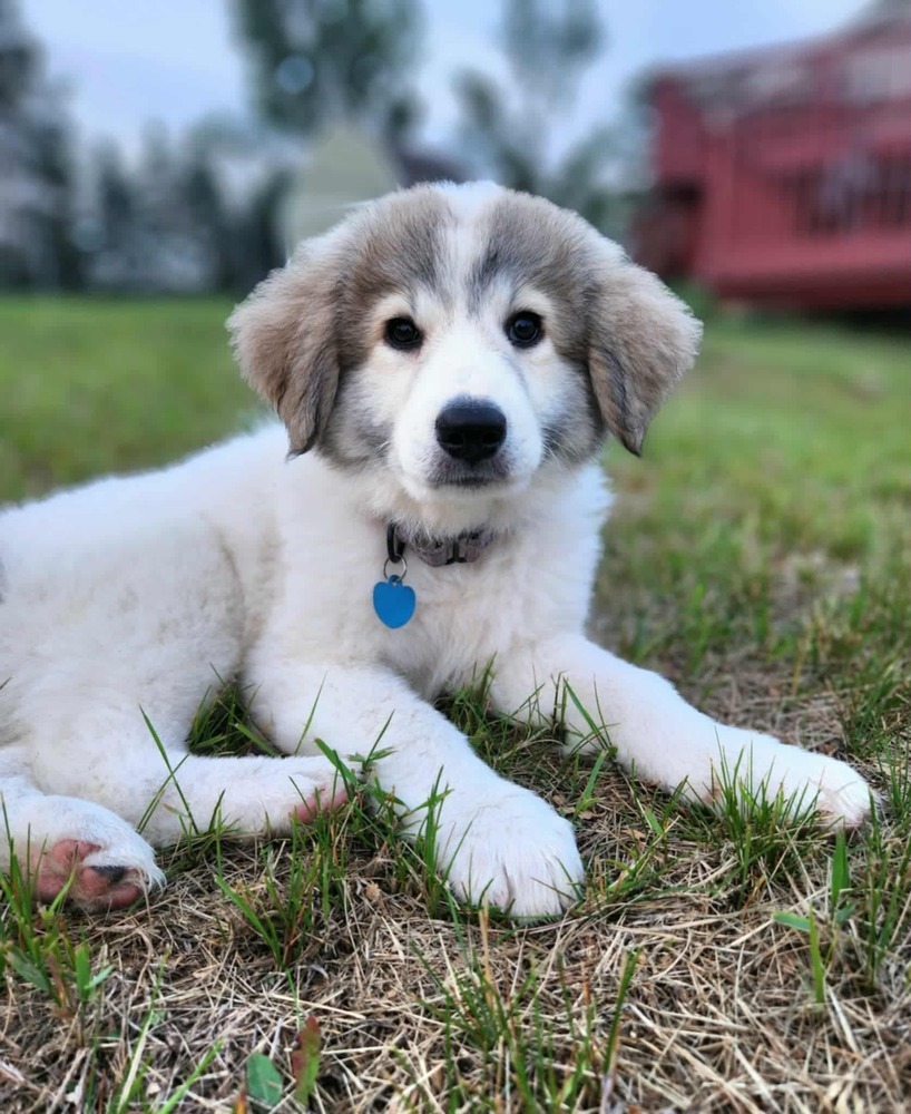Luna