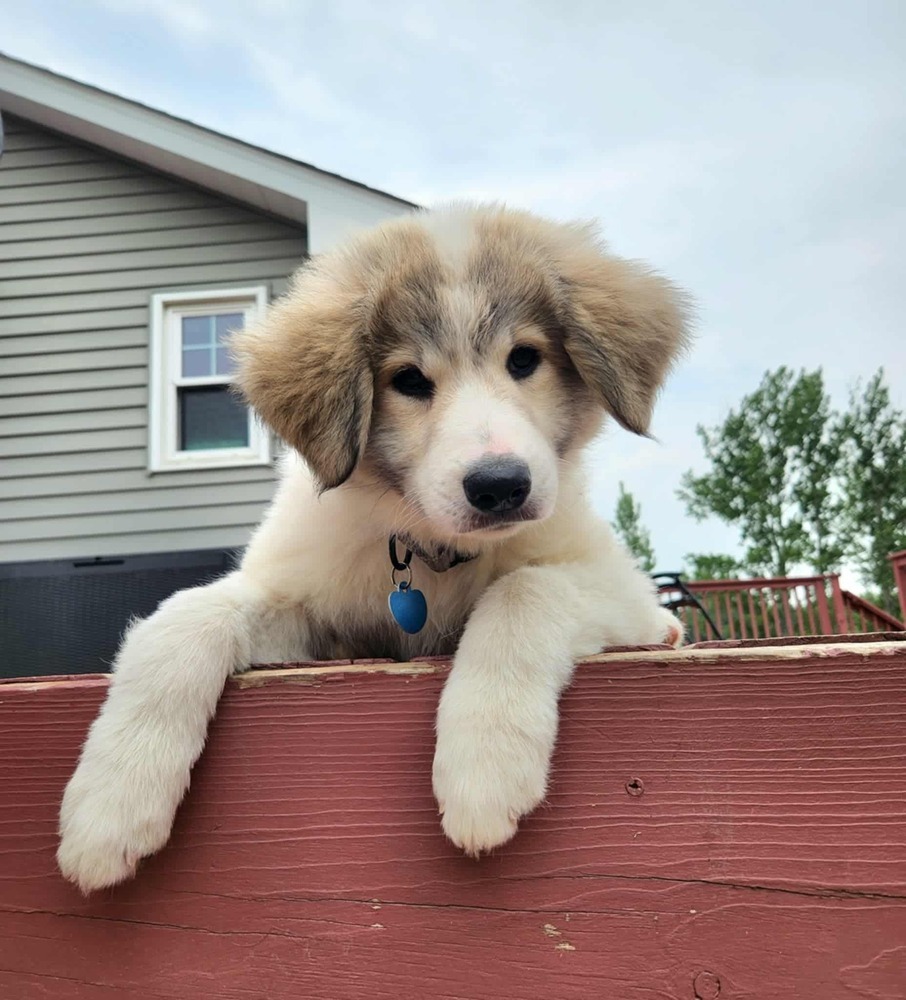Luna