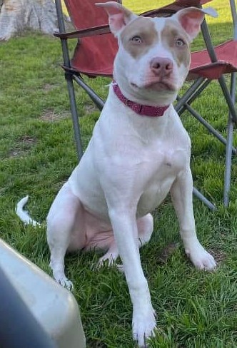 LUNA