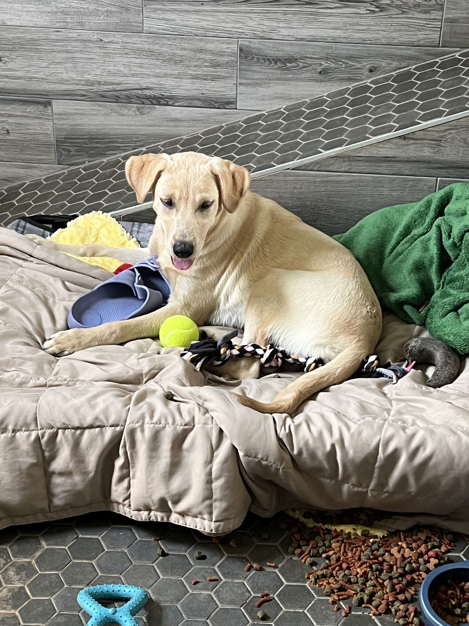 Chloe