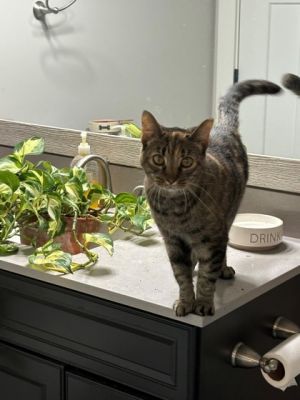 Nini may be a senior by age but her heart is forever young and overflowing with love This sweet gi