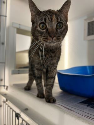 Nini may be a senior by age but her heart is forever young and overflowing with love This sweet gi