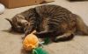 Jake photo 2