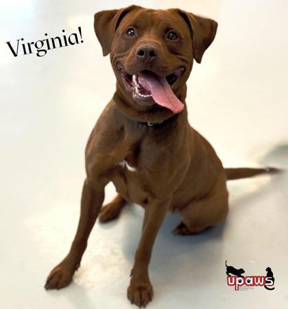 Virginia