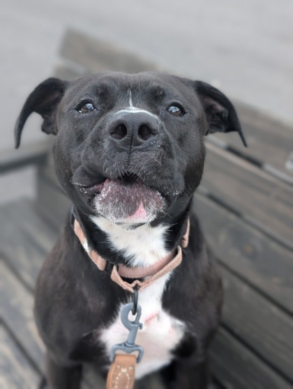 Nala