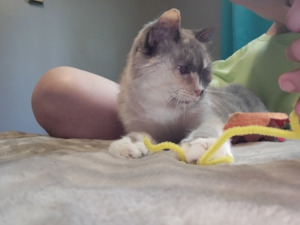 Grandma ( In Foster) 3