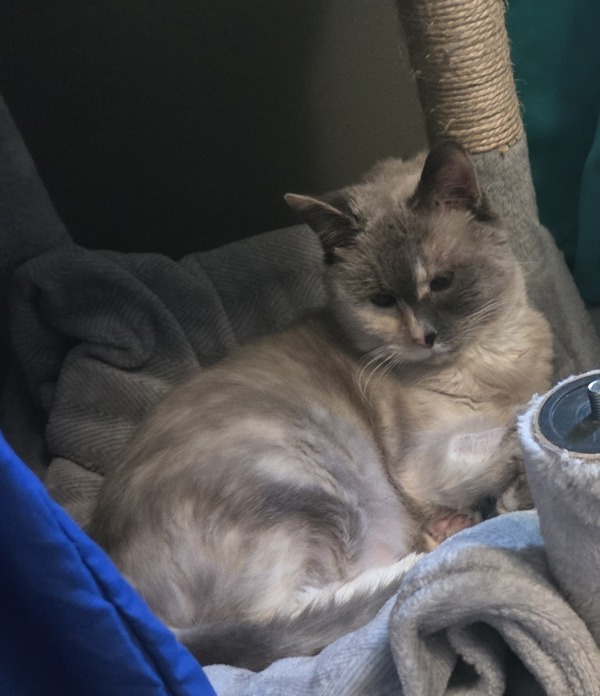 Grandma ( In Foster) 5