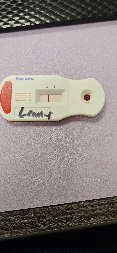 Lenny