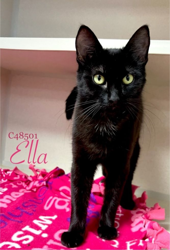 Ella