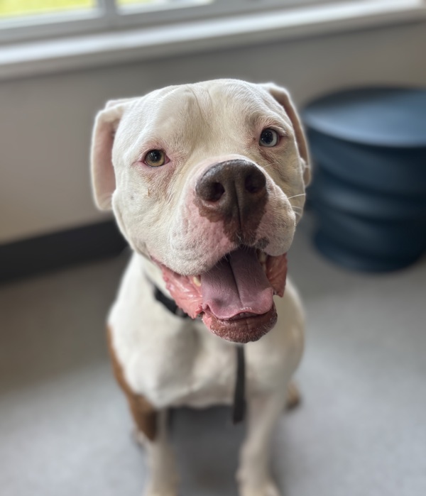Tyson