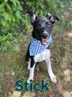 Stick 122692