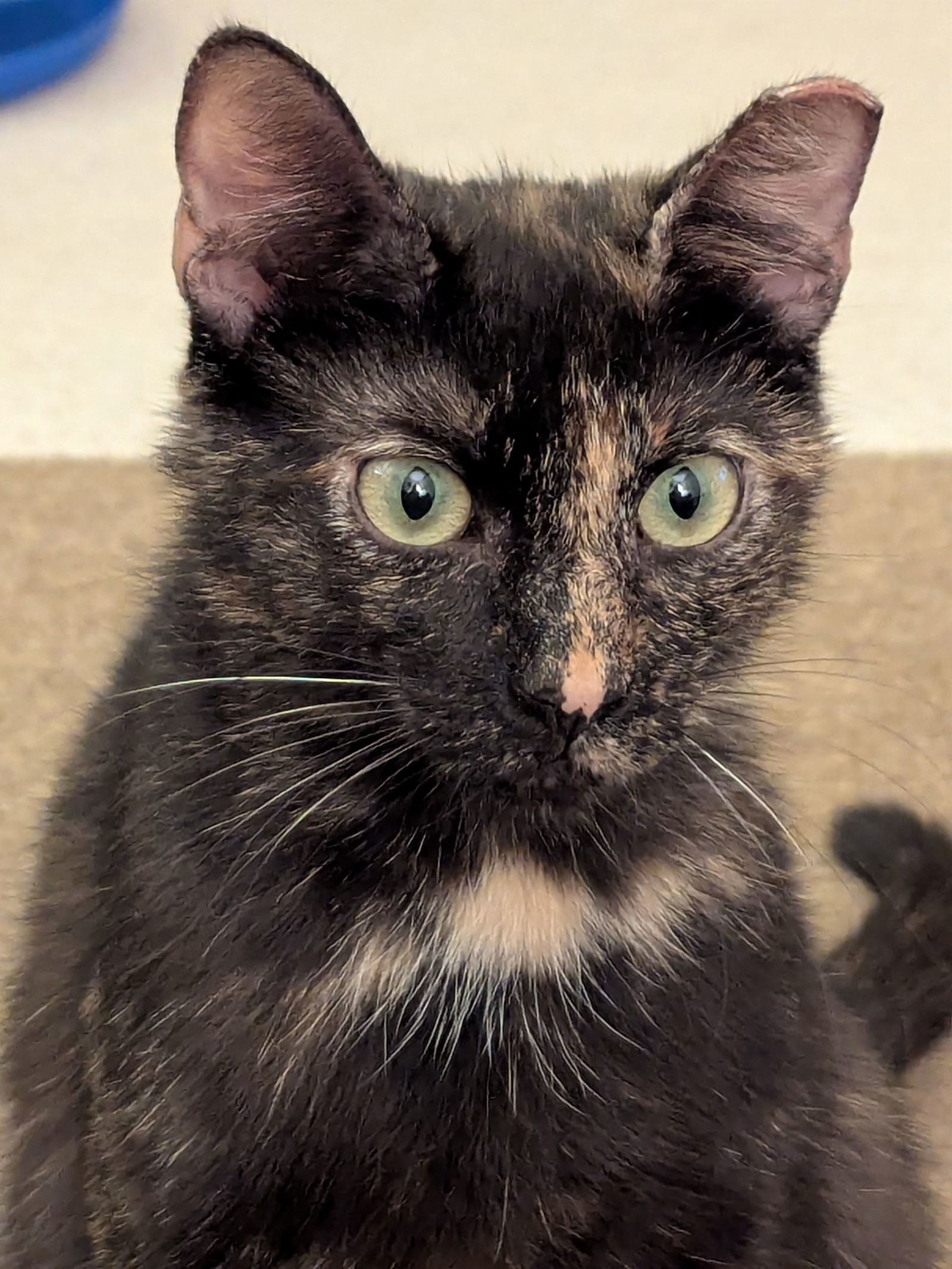 Eleanor