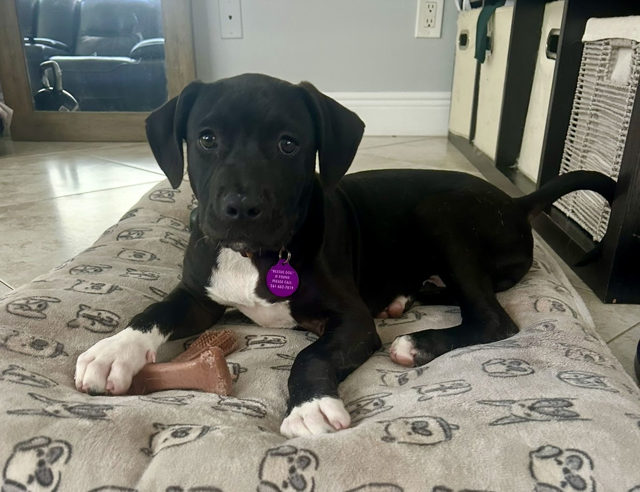 Tux *