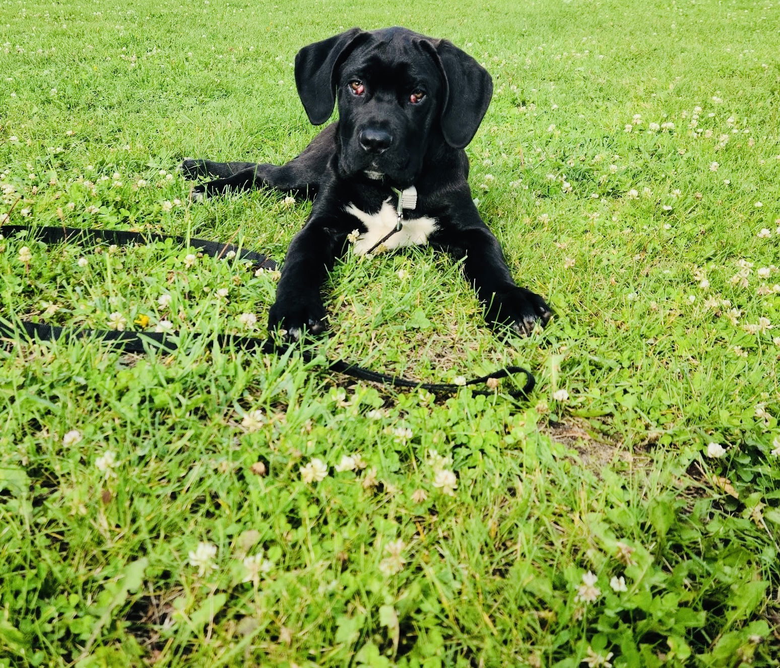 Samson