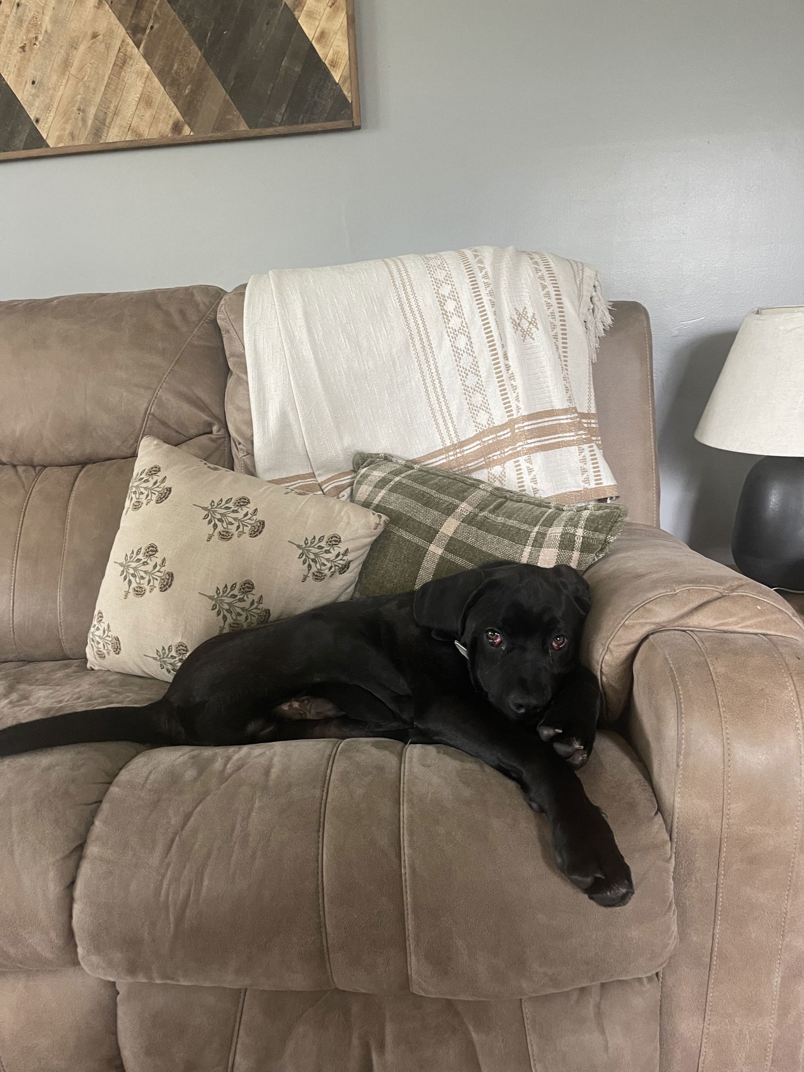 Samson