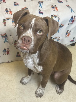 Max