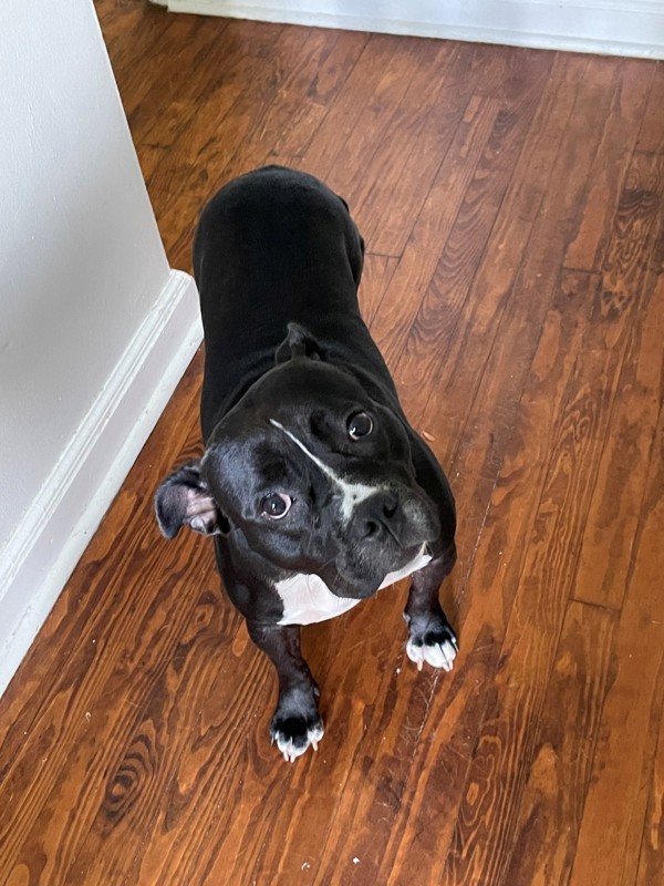 Rosie