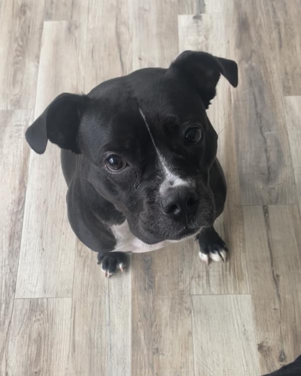 Rosie